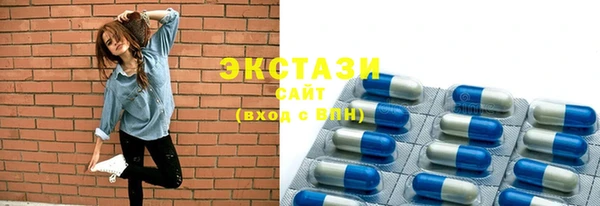 гидра Вязьма