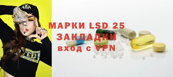 гидра Вязьма