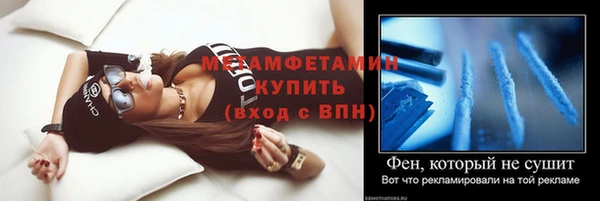 гидра Вязьма