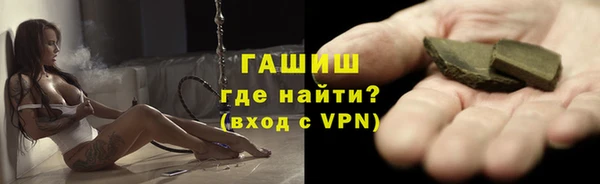 гидра Вязьма