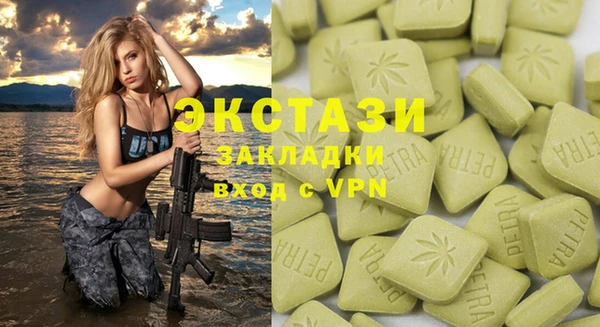 гидра Вязьма