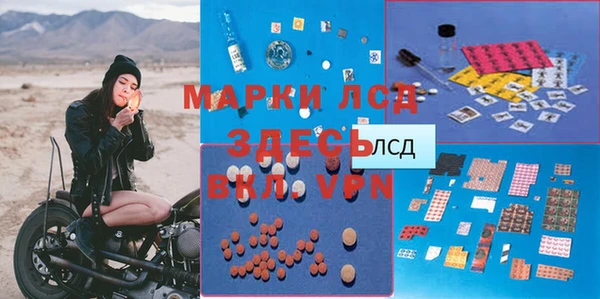 гидра Вязьма