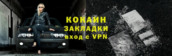 гидра Вязьма