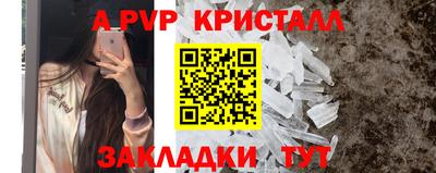 крисы Вышний Волочёк