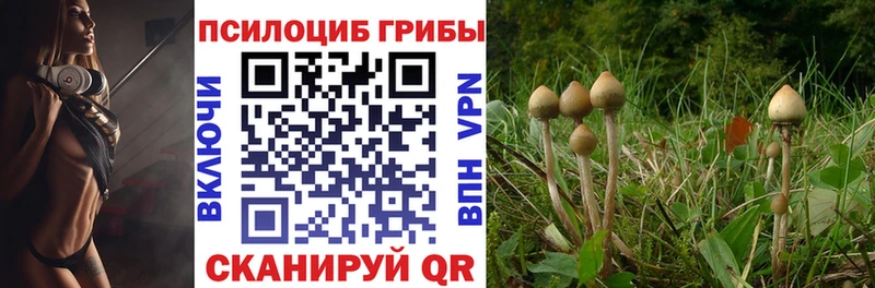 Галлюциногенные грибы прущие грибы  цена   Снежинск 